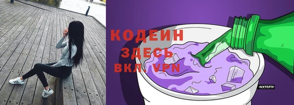 прущие грибы Рославль