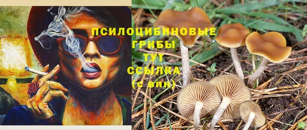 тгк Весьегонск