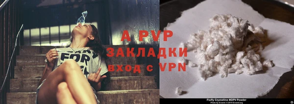 СК Семикаракорск