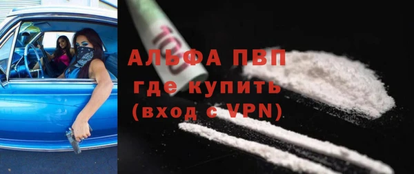 прущие грибы Рославль