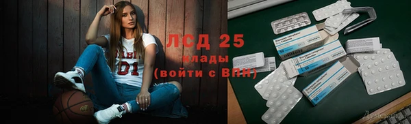 прущие грибы Рославль