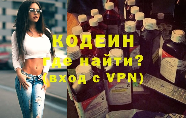 прущие грибы Рославль