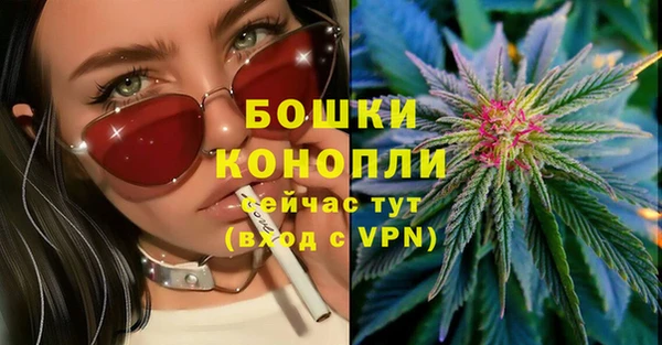 прущие грибы Рославль
