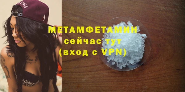 прущие грибы Рославль