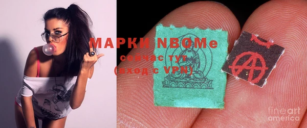 прущие грибы Рославль