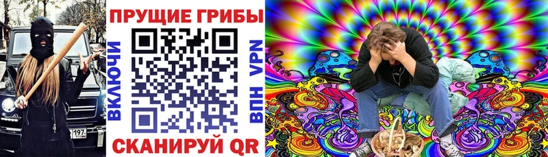 Галлюциногенные грибы ЛСД Купить закладки Звенигород